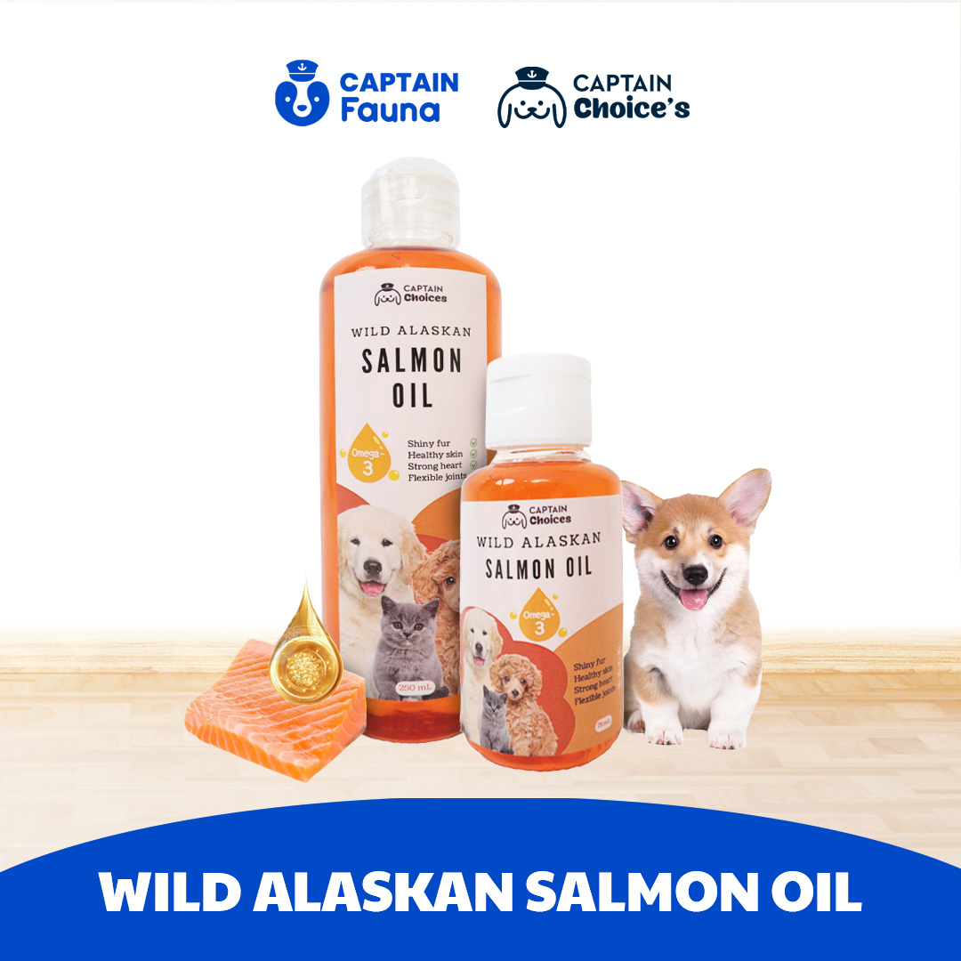Salmon Oil Untuk Kucing Anjing